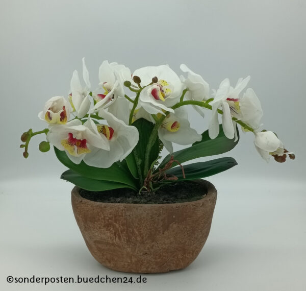 Kunstpflanze - Orchidee / ca. 30cm / NEU!