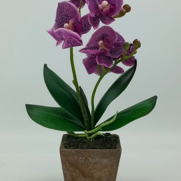 Kunstpflanze - Orchidee / ca. 28cm / NEU!